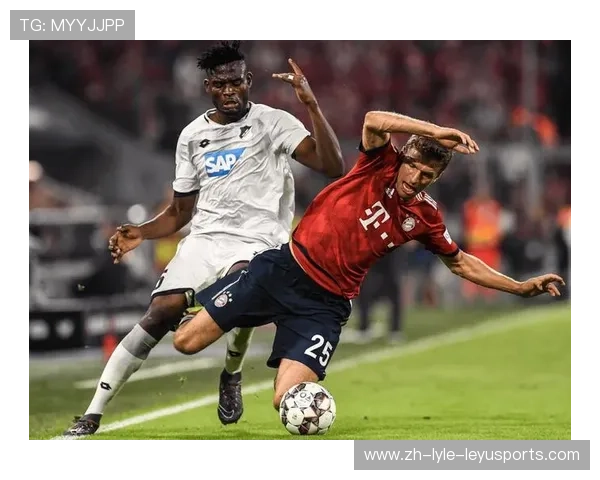 球队进德甲了吗：探讨各球队晋级德甲的历史与途径